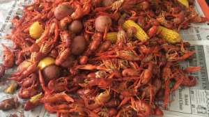 Crawfish 181003 161518