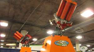 Crazy Quail Mini 181003 154820