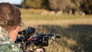 Crossbow Fact and Fiction