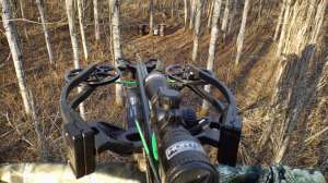 Crossbow Strategies For Big Bruins