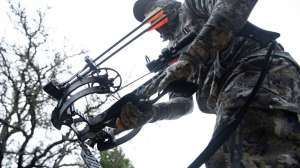 Crossbow Technology beauty