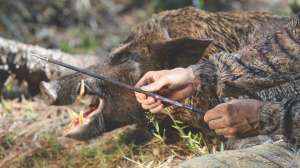 Crossbow arrows lead