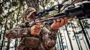 Crossbow speed beauty