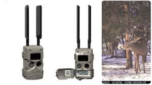 Cuddeback Track collage