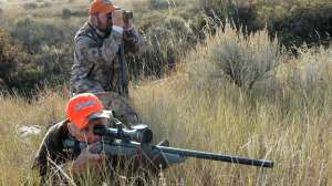 Custom predator rifles photo Wayne Van Zwoll