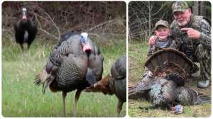 Cuz and Cranky with turkey