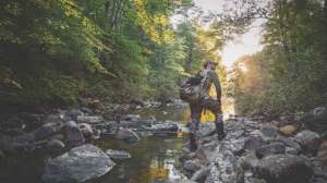 DIY Black Bear Hunting