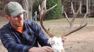 DIY Skull Mount