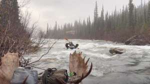DIY float hunt for Alaska moose