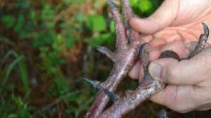 DSC 1326 181003 155721