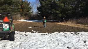 Dad frost seeding food plot