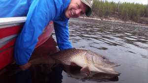 Dave Maas releasing big pike Canada