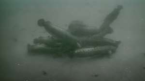 Daytime burbot video