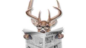 Deer News GFX 2 181003 154923