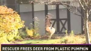 Deer Pumpkinhead Screen Shot 2014 11 12 at 311 181010 154738