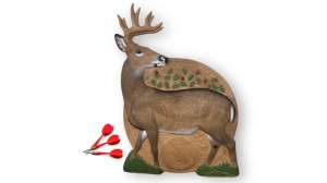 Deer dart target