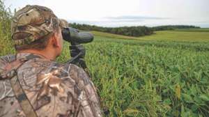 Deer scouting beauty