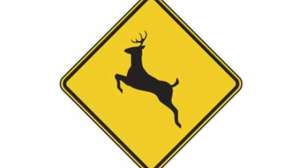 Deer Crossing640 181003 161629
