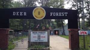 Deer Forest Facebook
