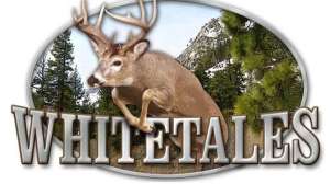 Deer News640 181003 154919