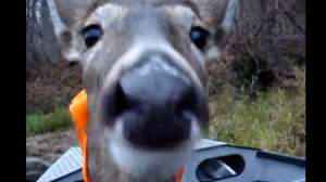 Deer Veston Boat 181010 154740