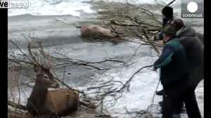 Deer River Video 181010 154830