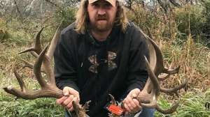 Dennis Bennett mule deer beauty