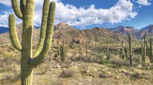 Desert Southwest beauty