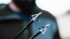 Dialed In Hunter 6010 resize