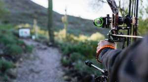 Dialed In Hunter 6820 cropped