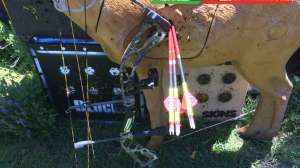 Diamon SB1 Bow Review