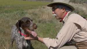 Dog Training640 181010 154941