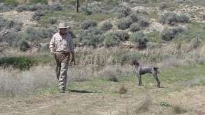 Dog Trainning 181010 155010