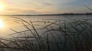 Duck blind with sun rise