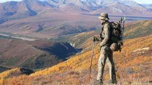 Dwight Schuh tribute beauty