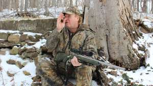 Eastern Coyotes by Andrew Lewand