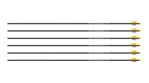 Easton Sonic group pic