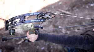 Elite Bow Report 2 cropped