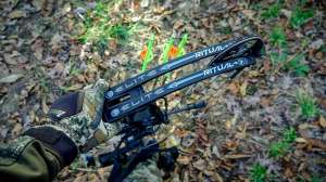 Elite Ritual 35 beauty