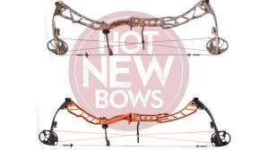 Elite2015 Bows 181003 161850