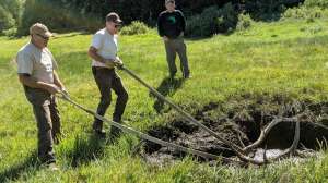 Elk rescue Utah