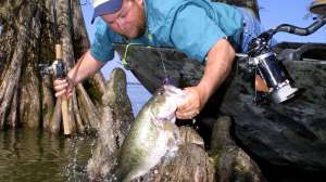 FISHING largemouth on jig