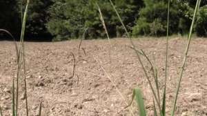 Farmland 181004 094914