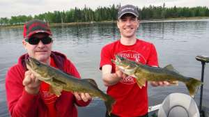 Father and son walleyes