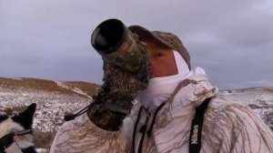 February Coyotes 181010 154755