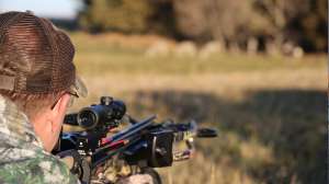 Fenson crossbow beauty