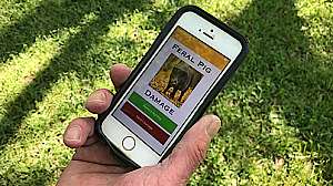 Feral Pig Damage app from Mississippi State University photo Karen Brasher