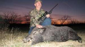 Feral hog Texas Savage Rifle Alan Clemons