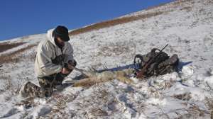 Field Skinning