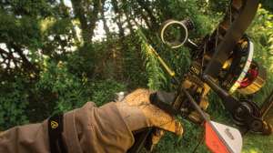 Field Test Single Pin Sights Feature